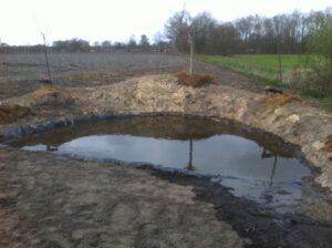 Overal in het terrein ook ruimte voor water