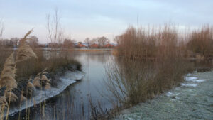 de uitloop in de winter