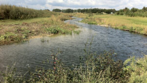 de uitloop van de rivier
