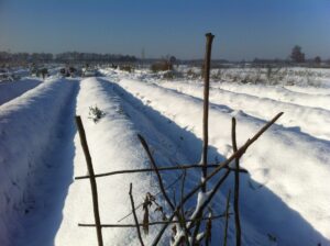 We waren net op tijd klaar voor de winter