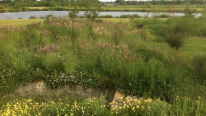 volop puur natuur